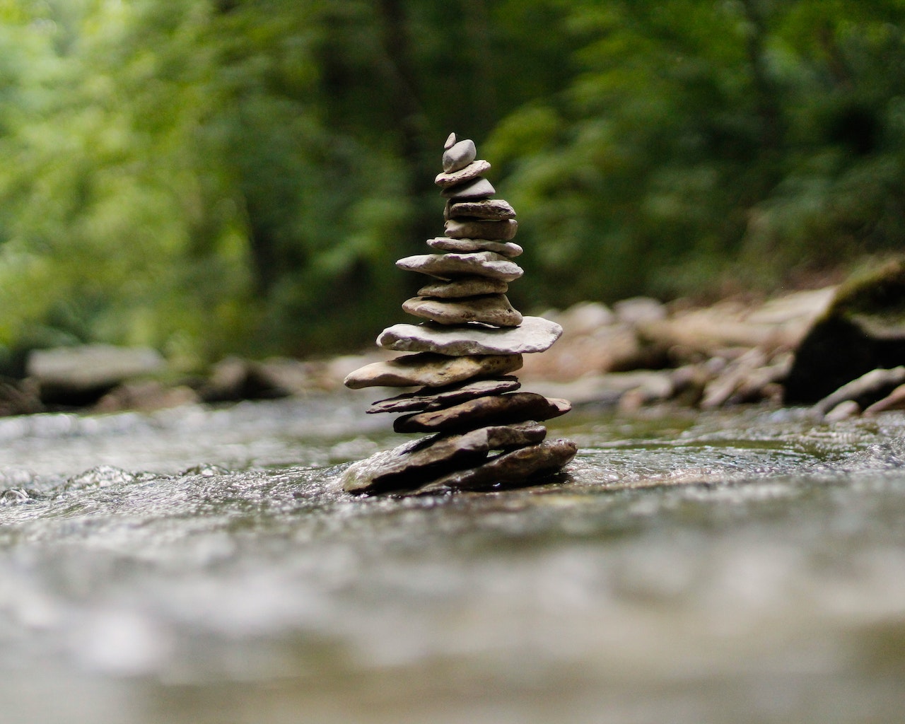 Image for the article "Steps to Cultivate a Growth Mindset" shows stacked pebbles from the river in the woods